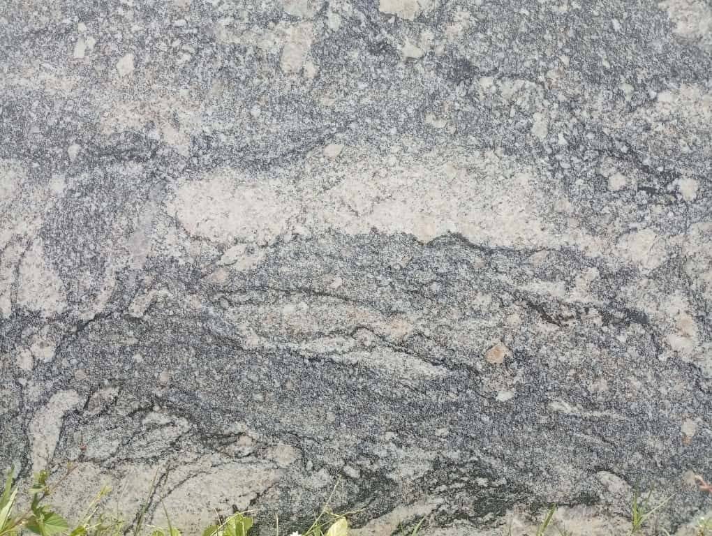 New Champaigne White